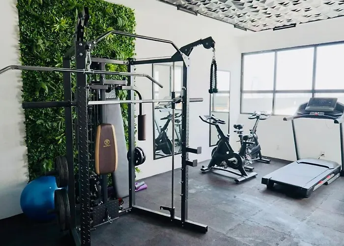 Exceptional 1 Oasis Tlalpan - Barril 2px *